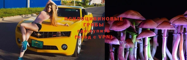 a pvp Арсеньев